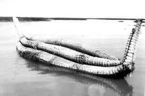 �ĵĿ������еĲ���С��