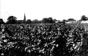 ����-���ﰣ����������԰