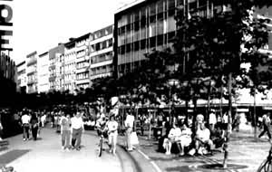 �����˸��־�