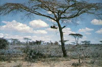 �����ȴ�ϡ����ԭ����