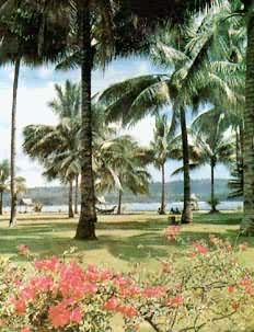 ���ɱ�Ⱥ�����