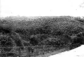 ����԰һ��