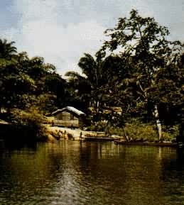 ����������³����ϵĴ徰