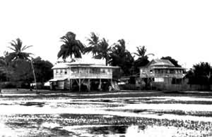 ������ũ�徰ɫ