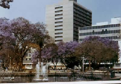 ��Ͳ�Τ�׶������׵Ľ��Ļ�԰