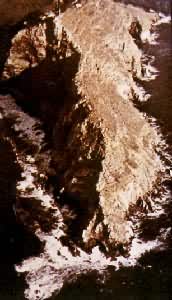 �����϶˺�����