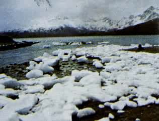 �����׺�Ͽ