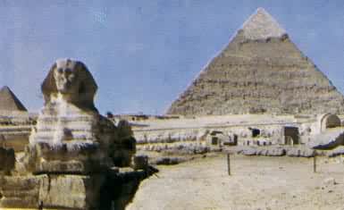 �����Ľ�������ʨ��������