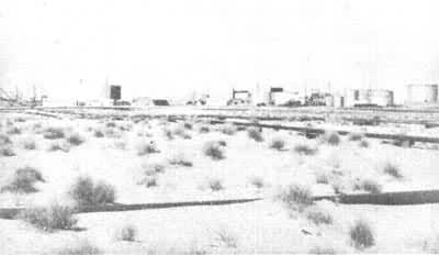 ʯ�Ͳɼ������⾰