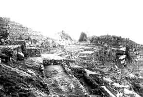 �������ų�