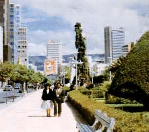 ����ά���׶�����˹������ʮ���ա����