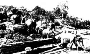 ���ô������ľ��