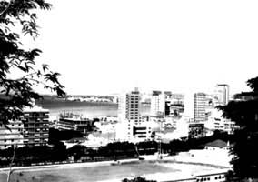 �ް�����