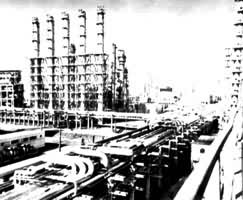 Ƥ��ʲ���е�ʯ�ͻ�����ҵ