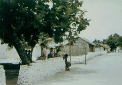 ��������ɺ�����ϵ����