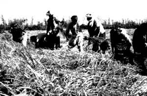 ũ�������ո�ˮ��