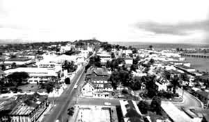 ����ά�����