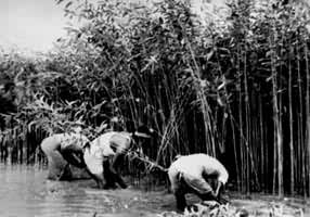 ũ���ո����