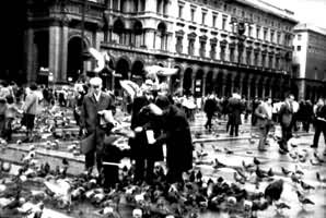 �����жŰ�Ī�㳡