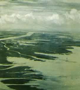 �������Ⱥ�������