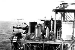 ī������ĺ��������꾮ƽ̨