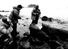 �ϼ��ĺ���