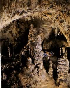 ��˹����˹�������ܶ�