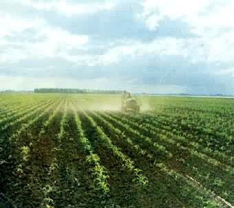 ��˹���򱱲����ƽԭ����