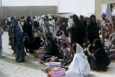 ë���������׶�Ŭ�߿�Ф�صİ������г�