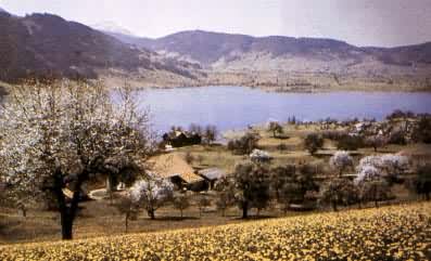 �����ߺ�