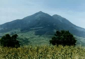 �����߶�ʥάɭ�ػ�ɽ�µ�ũ��