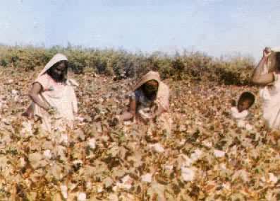 �յ���ũϲ�����