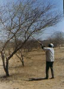 �յ�����������԰