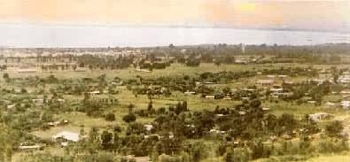 ̹���ῦ����