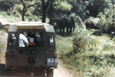 ̹ɣ����Ұ������԰