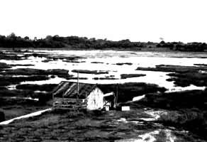 ����������Ȼ�����