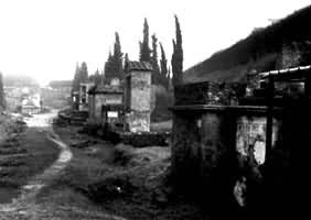 ���������������ż�