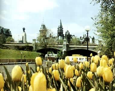 ���ô��׶���̫���Ĵ�ɫ