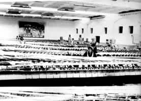 �������ˡ�ά�������ھ�