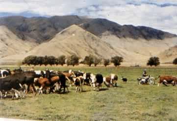 �������������