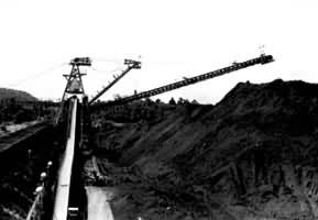 �����󿪲�