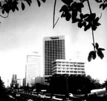 �żӴ���������