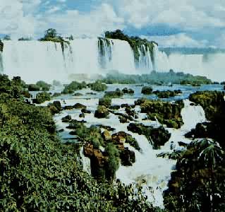 ����������ٲ������������ٲ�