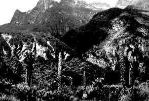 �������ȴ�����