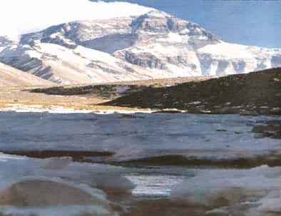 ������߷塪�����������