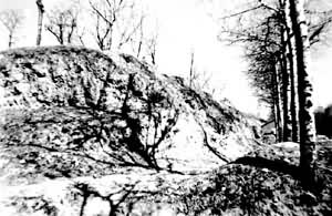 ֣���̴���ǽ