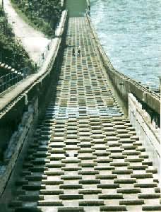 ���Ͻ�������ˮ��վˮ������1978�꿢��