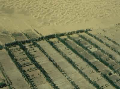 ����״������