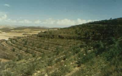 ����ˮ�����ַ�����