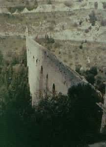 ������ض���Ĺ�������ˮ�ɲ�